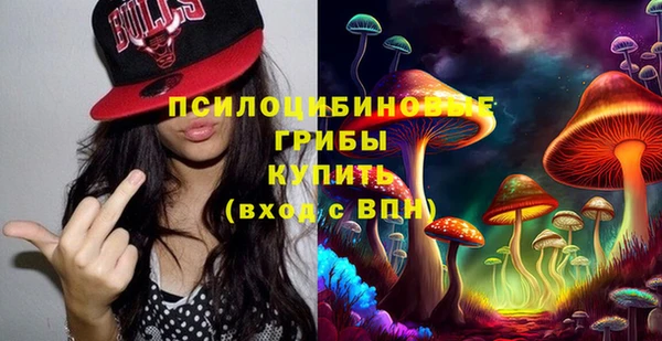 СК Пестово