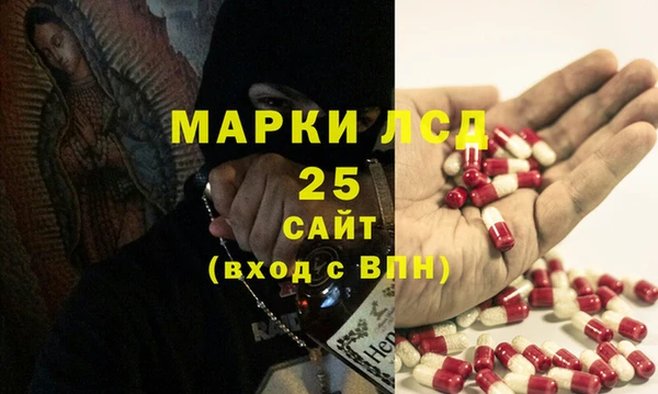 прущий лед Пересвет